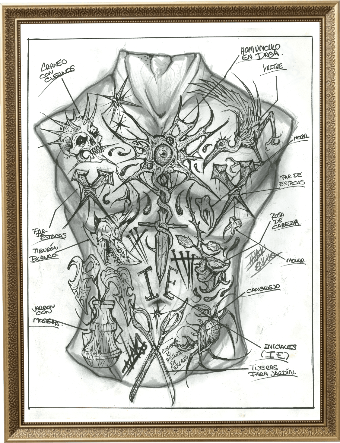 Torso
